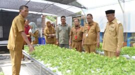 Kunker Walikota Tidore Kepulauan Capt. H. Ali Ibrahim, (detikindonesia.co.id)