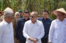 Menteri Koordinator Bidang Pangan, Zulkifli Hasan dan Menteri Perdagangan RI, Budi Santoso ke PT. Sinergi Gula Nusantara, Kabupaten Langkat, Sumut.