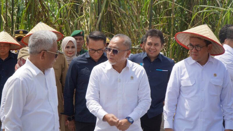 Menteri Koordinator Bidang Pangan, Zulkifli Hasan dan Menteri Perdagangan RI, Budi Santoso ke PT. Sinergi Gula Nusantara, Kabupaten Langkat, Sumut.