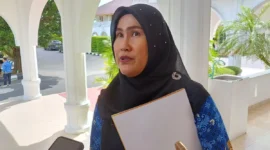 Kepala Badan Kepegawaian Daerah (BKD) dan KORPRI Provinsi Kepulauan Riau (Kepri) Yeny Trisia Isabella. Detik Indonesia/ANTARA/Ogen