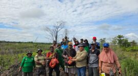 Dinas Perkebunan Fakfak bersama masyarakat Kampung Mitimber saat melakukan penanaman Pohon Kayu Putih, (Rri/NicoAfloubun/Detikindonesia)