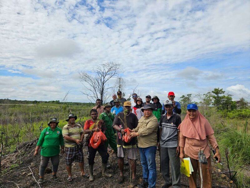 Dinas Perkebunan Fakfak bersama masyarakat Kampung Mitimber saat melakukan penanaman Pohon Kayu Putih, (Rri/NicoAfloubun/Detikindonesia)