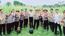 Kapolres Halmahera Utara AKBP Faidil Zikri bersama personel Polres saat memanen jagung di lahan komplek Mako Polres. (Detik Indonesia/Halmaheraraya.id)