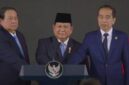 Presiden Prabowo Subianto meluncurkan Danantara (sumber : Detik.com)