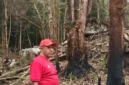 Bupati Spei Yan Bidana, ST,M.Si saat memantau salah satu kawasan hutan di Pegunungan Bintang yang dibakar dan ditebang. (Detik Indonesia/Papua Bangkit)