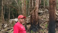 Bupati Spei Yan Bidana, ST,M.Si saat memantau salah satu kawasan hutan di Pegunungan Bintang yang dibakar dan ditebang. (Detik Indonesia/Papua Bangkit)